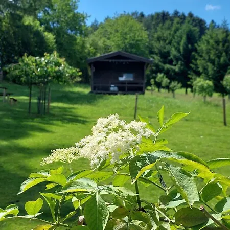 Na Samote, Sumava Chalet *