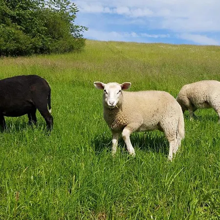 Horská chata Na Samote, Sumava