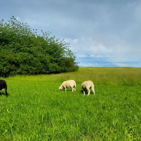 Chalet Na Samote, Sumava *