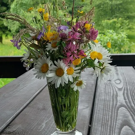 Chalet Na Samote, Sumava