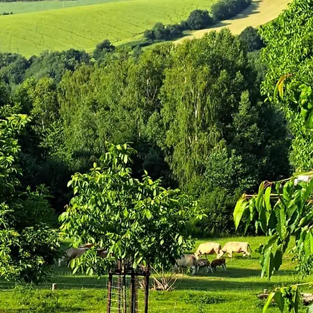 Horská chata Na Samote, Sumava *