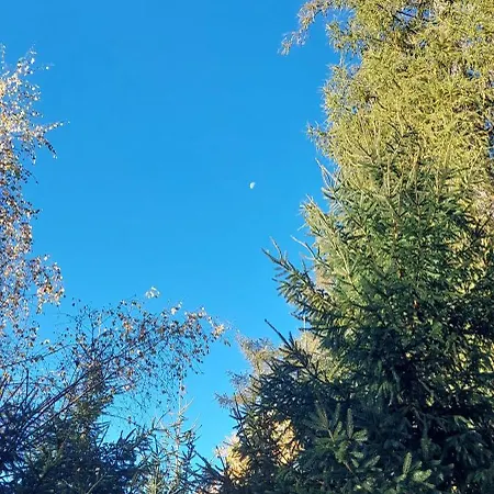 Na Samote, Sumava * Vrhavec