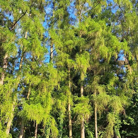 Na Samote, Sumava Chalet