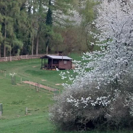 Na Samote, Sumava