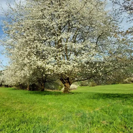 Na Samote, Sumava * Vrhavec