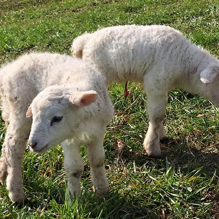 Chalet Na Samote, Sumava