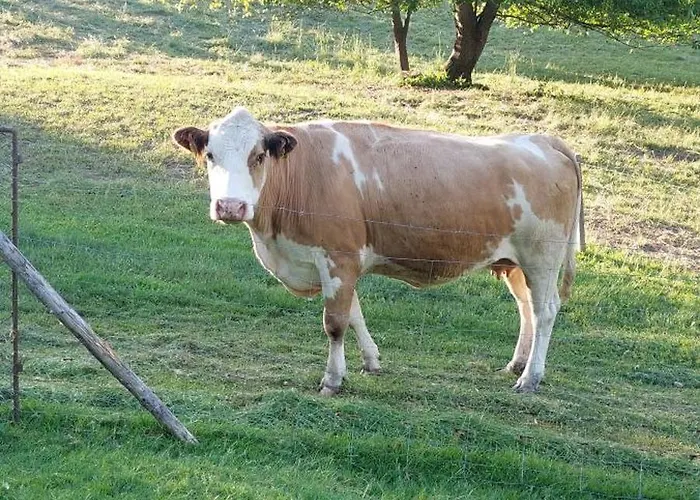 شاليه Na Samote, Sumava *