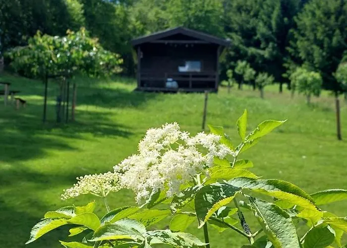 Na Samote, Sumava Chalé *