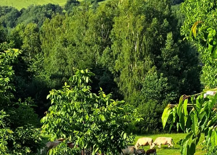 Chalé Na Samote, Sumava *